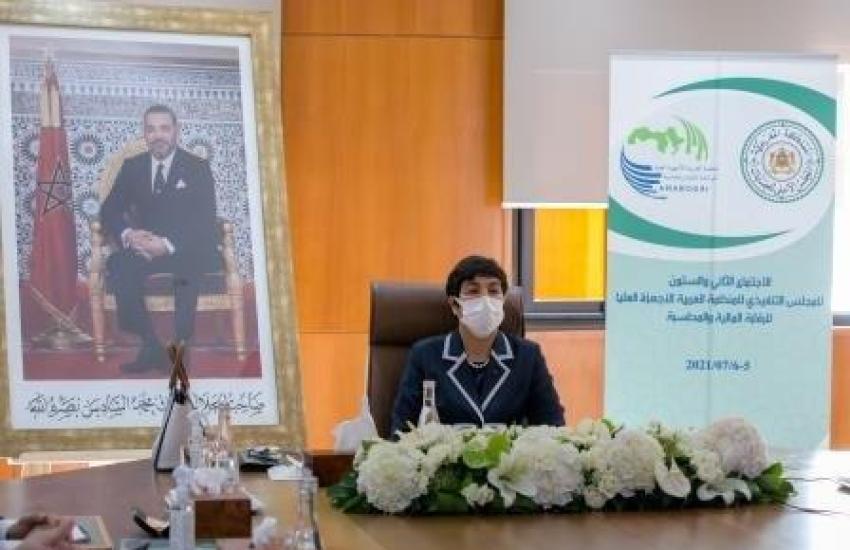 Participation-de-la-Cour-des-comptes-a-la-62eme-reunion-du-conseil-executif-de-lOrganisation-Arabe-des-institutions-de-controle-superieur-des-finances-publiques (1)