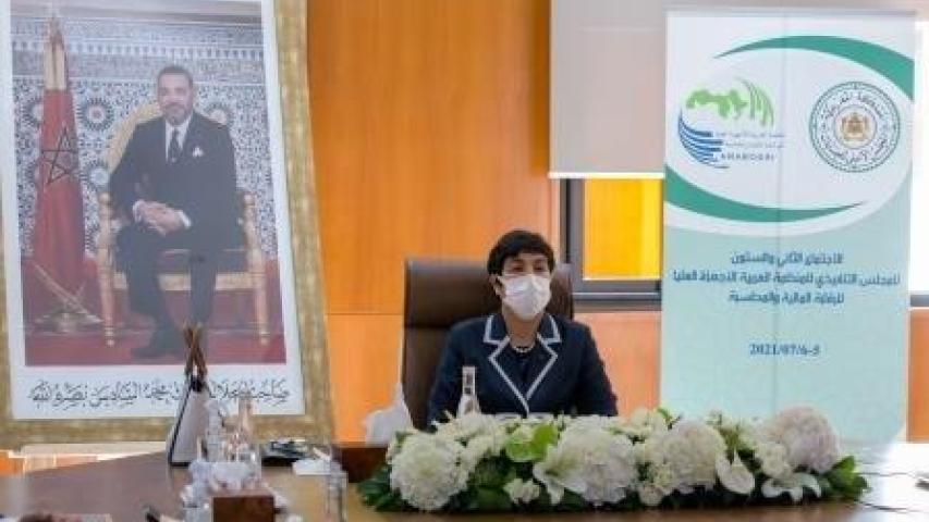 Participation-de-la-Cour-des-comptes-a-la-62eme-reunion-du-conseil-executif-de-lOrganisation-Arabe-des-institutions-de-controle-superieur-des-finances-publiques (1)